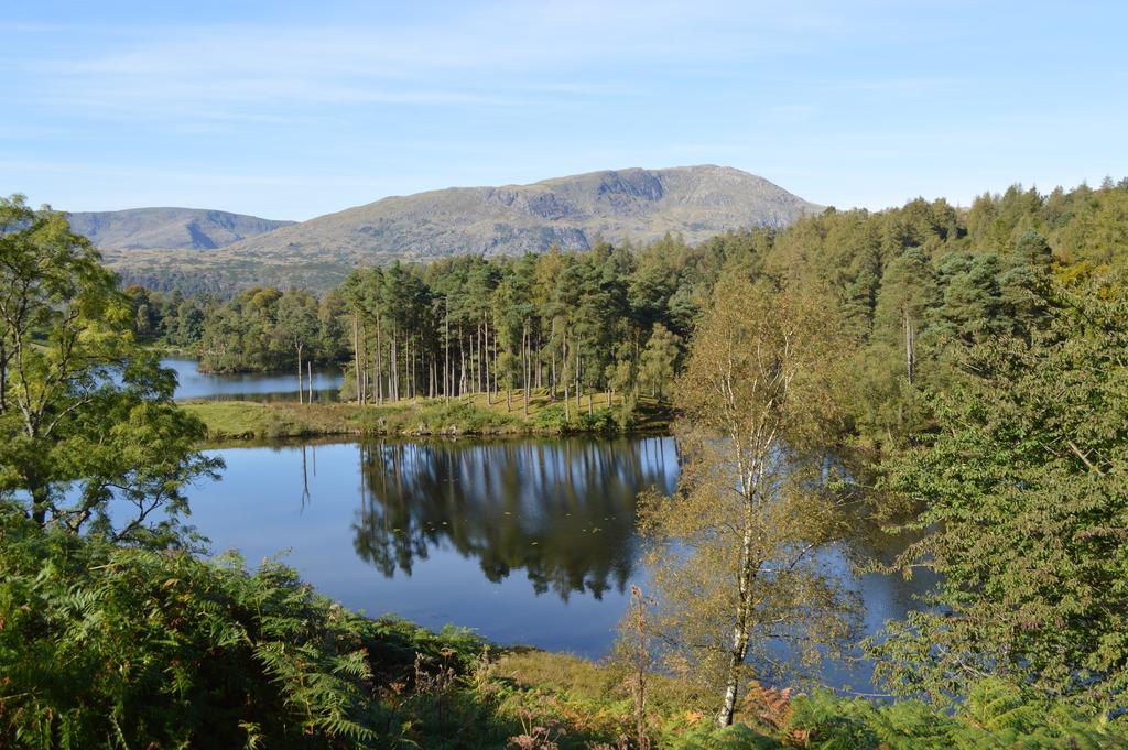 Ellerbrook House Guest house 4*